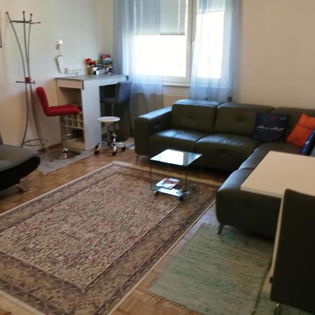 Citty Aparttment Apartment Salzburg Bagian luar foto